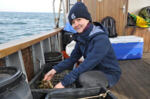 Daniela Glück kontrolliert die jungen Seegraspflanzen in ihren Behältern.