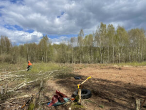 Axt im Baumstumpf im Vordergrund vor Moorboden und Forstmitarbeiter mit Motorsäge im Hintergrund