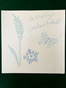 Handzeichnung eines Weizenstengels, eines Schmetterlings und einer Blüte