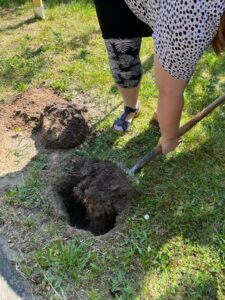 Person mit Schaufel in der Hand gräbt ein Loch in den Erdboden der Grasfläche