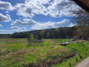 Grünes Niedermoor mit Spielgeräten des Wildparks vor blauem Himmel mit weißen Wolken