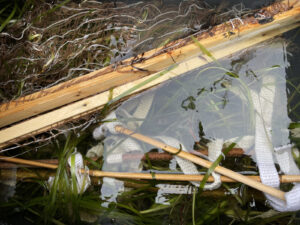 Seegrasmatten aus altem Seegras, Hanf, Viskose und Holz in einem Wasserbottich.