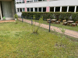 Pflanzen auf der grünen Wiese vor einem Zaun