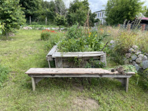 Holzbank vor Hochbeet aus Palettenholz mit vielen Pflanzen drinnen