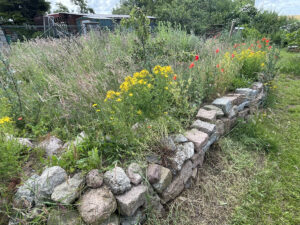 Blumen und Kräuter an einem aus Steinen gemauerten Absatz