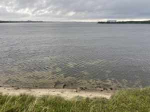 Blick auf Wasser und Strand vom Hügel mit Gras