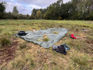 Große Plane liegt auf dem Moorboden