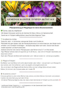 Flyer mit Pflanzanleitung und Pflegetipps