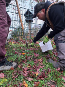 Zwei Personen auf einer laubbedeckten Wiese beim Einpflanzen