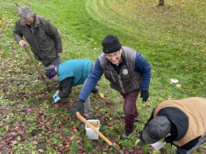 Menschen auf einer Wiese beim Pflanzen von Krokussen