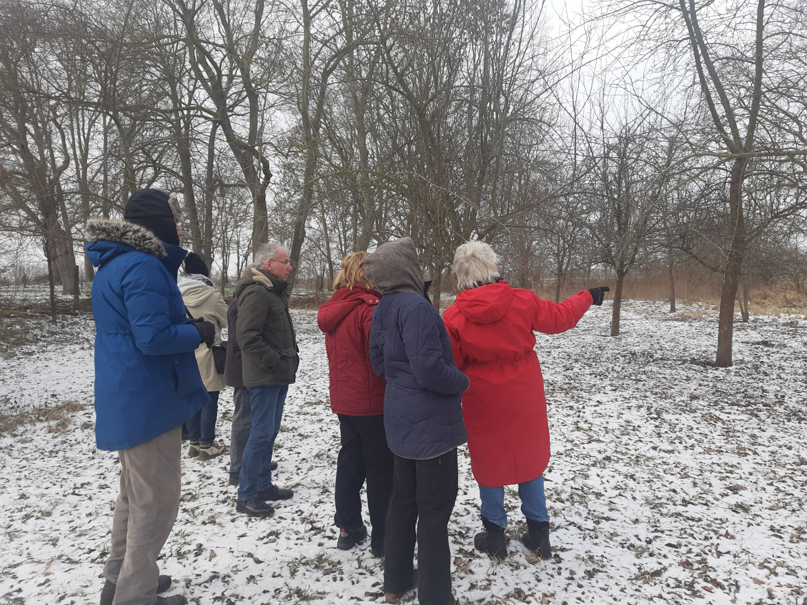 Eine Gruppe Menschen schaut sich im Winter eine Streuobstwiese an