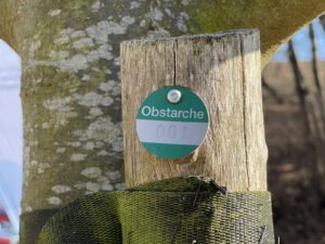 Plakette am Holzpfahl mit der Nummer "001"