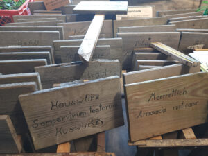 Holzschilder mit Kräuterbezeichnungen