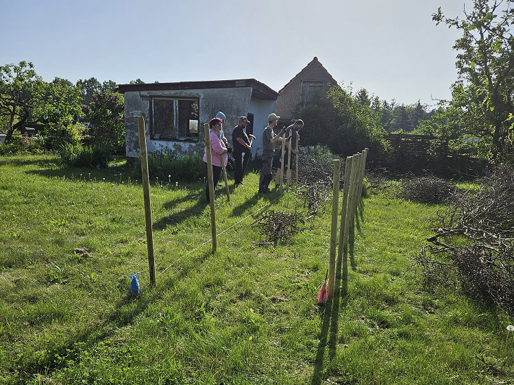 Grüne Wiese mit fünf Personen zum Bau einer Hecke