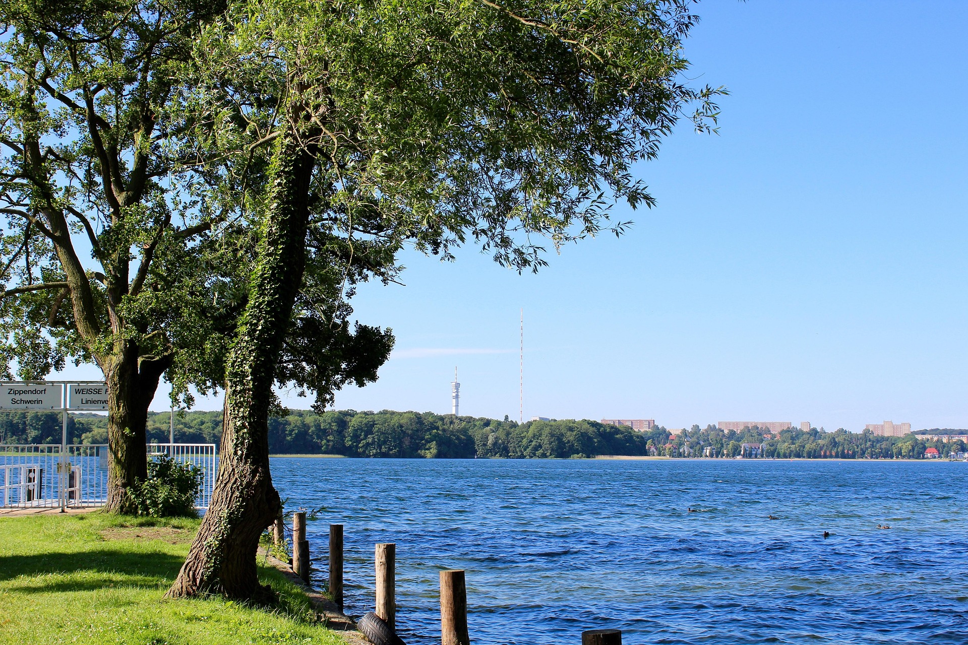 Uferkante mit zwei Bäumen angrenzend zum offenen Wasser des Schweriner Sees