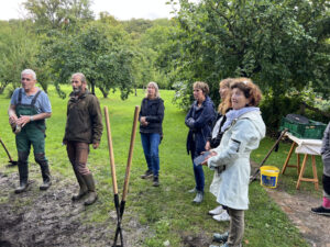 Menschen stehen auf einer grünen Wiese
